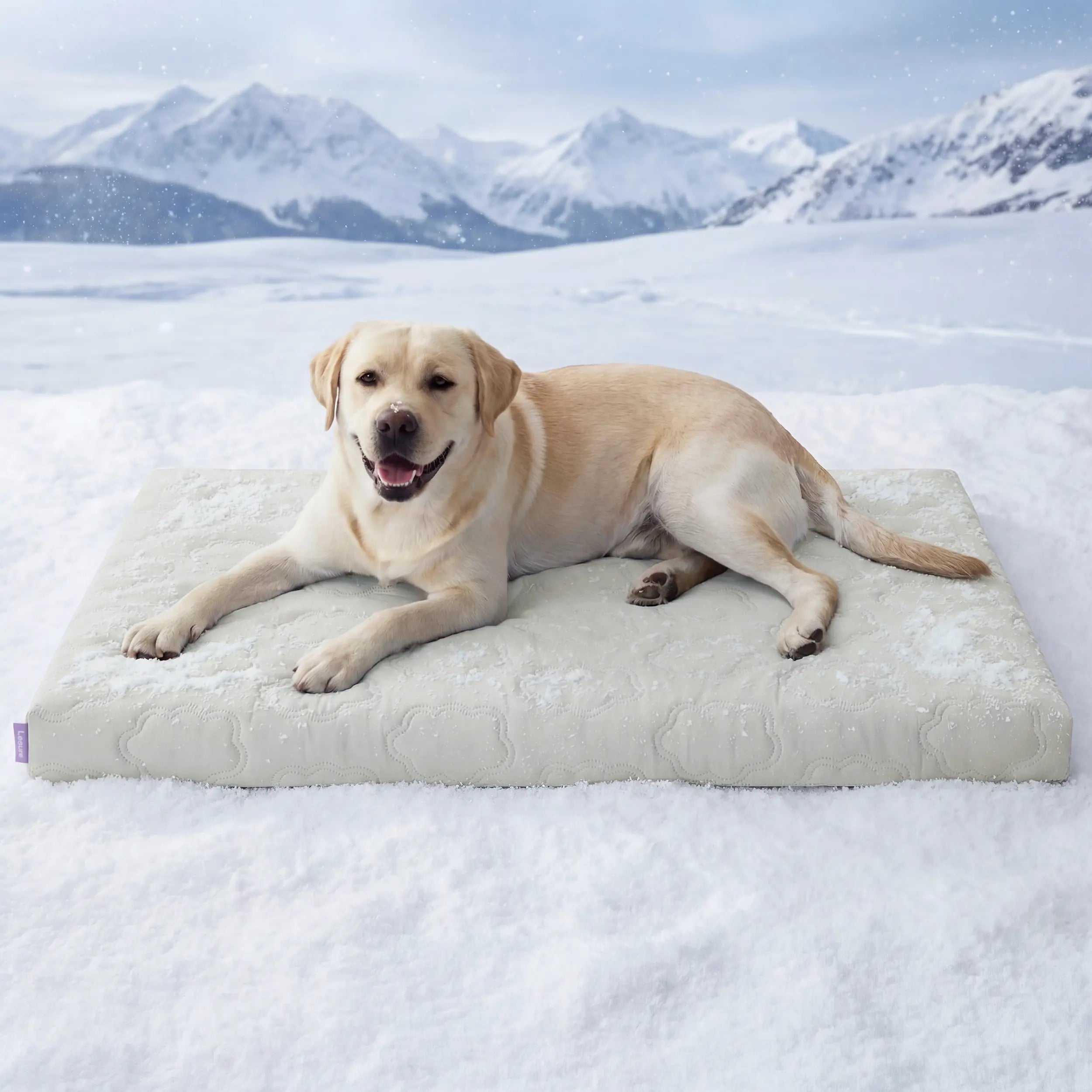 Lesure Cooling Orthopedic Dog Thick Mat – Q-Max>0.5 Cooling Mat with Washable Cover, Egg Crate Foam Non-Slip Bed for Extra Large Dogs