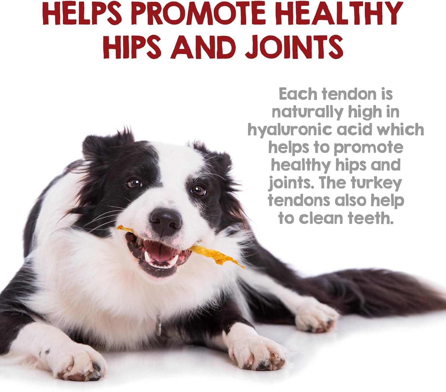 Turkey Tendons for Dogs Made in the USA & Sourced in the USA - Single Ingredient Dog Treats - All Natural Turkey Tendon Chews for Dogs - 4 Oz
